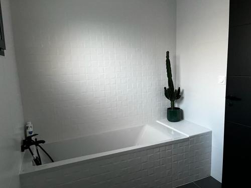 La salle de bains est pourvue d'une baignoire blanche avec un cactus. dans l'établissement Calm property - Le Mans 24h / GP France / Classic, à Changé