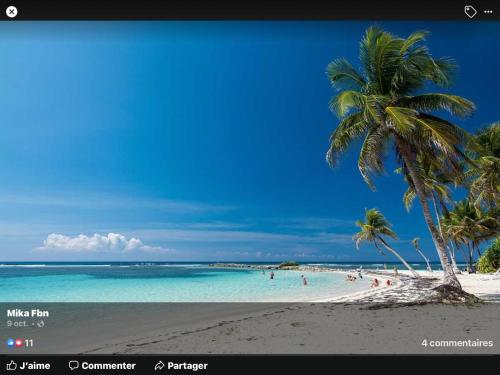 a beach with a palm tree and people in the water at FLAMBOYANT St Francois in Saint-François