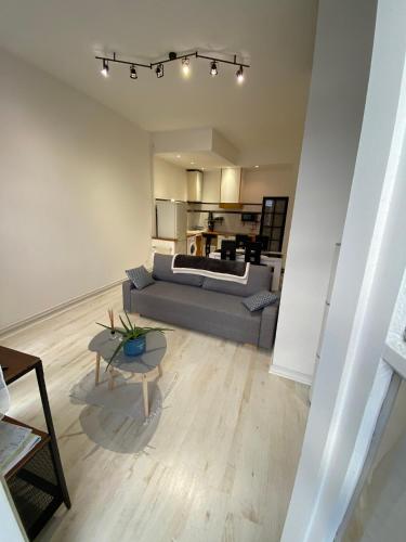 un salon avec un canapé et une table dans l'établissement Charmant petit appartement, à Bagnères-de-Bigorre