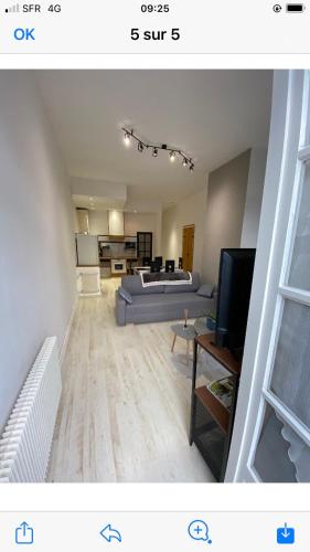 een woonkamer met een bank en een tv. bij Charmant petit appartement in Bagnères-de-Bigorre