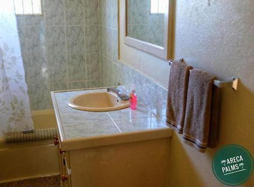 a bathroom with a sink and a mirror at Areca Palms in Port Antonio