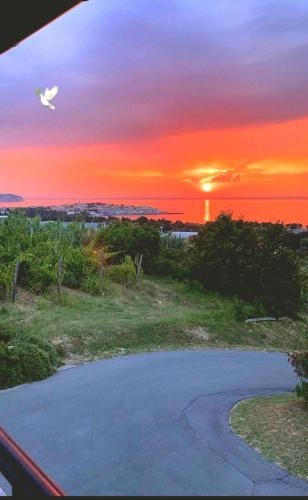 un uccello che vola su una strada al tramonto di Dolce vista Izola a Izola