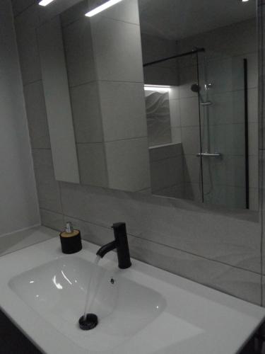 a bathroom with a sink and a glass shower at INSULA PLAzA MAYOR HOME in Astorga