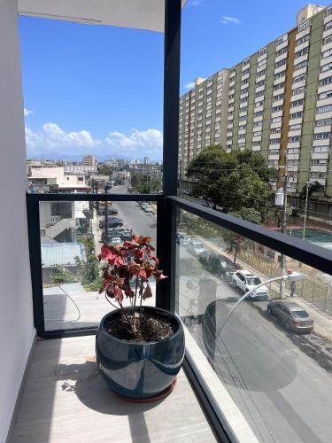 Un balcón o terraza en La Calma Poshtel