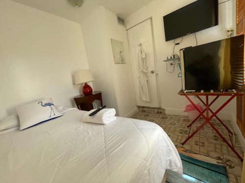 a bedroom with a bed and a flat screen tv at Habitacion Centrica Calle 8 Miami (2) in Miami