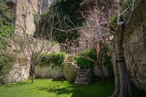 Casa Vayu - Rooms & Garden