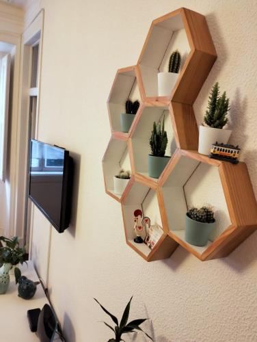 a wooden shelf on a wall with potted plants at Bird's Nest Lisbon Apartment in Lisbon