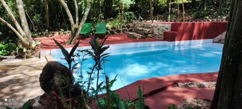 una piscina con un banco verde en un patio en Estancia La Paulina en Eldorado