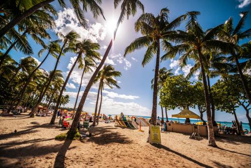 people on a beach with palm trees and the ocean at Panoramic Mountain View Condo with Free Parking! in Honolulu