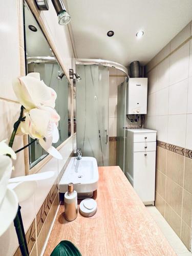 a bathroom with a toilet and a sink and a mirror at Ogrodowy Apartament in Sandomierz
