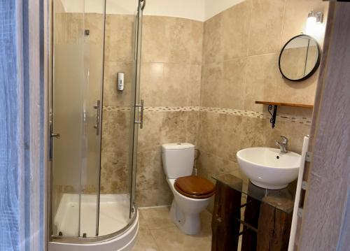 a bathroom with a shower and a toilet and a sink at Apartmány Lavander Mikulov in Mikulov