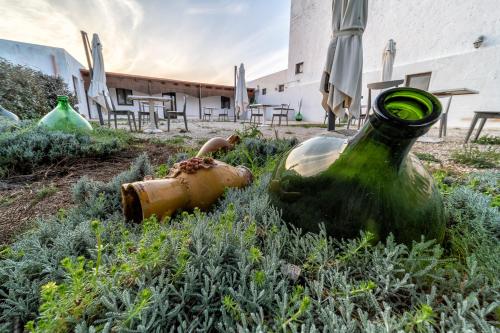 Zahrada ubytování Agriturismo Tenuta del Grillaio