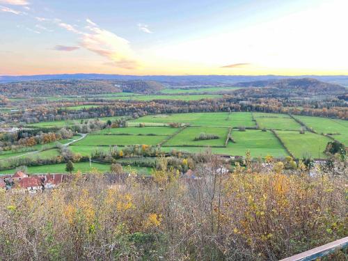 a view of a field from a hill with trees at Hôtel En Tilleul in Pont-du-Navoy