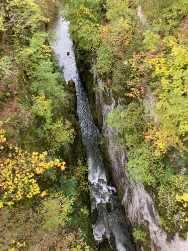 an aerial view of a waterfall in a forest at Hôtel En Tilleul in Pont-du-Navoy