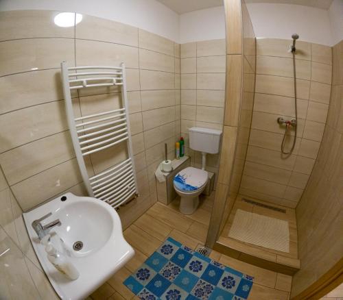 a bathroom with a shower and a sink and a toilet at AQUA Thermal Apartmanház II. in Püspökladány