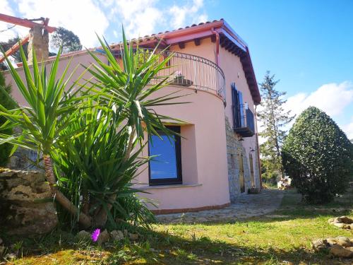 a house with a palm tree in front of it at Panorama Suite in Piazza Armerina