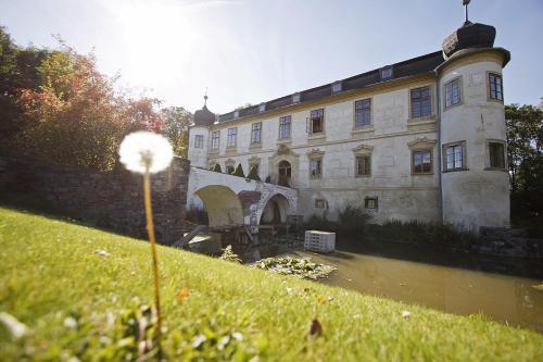 an old building in the grass next to a body of water at Chateau Třebešice in Kutná Hora