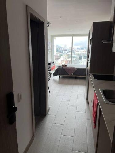Kuchyň nebo kuchyňský kout v ubytování Luxury Studio Downtown Quito