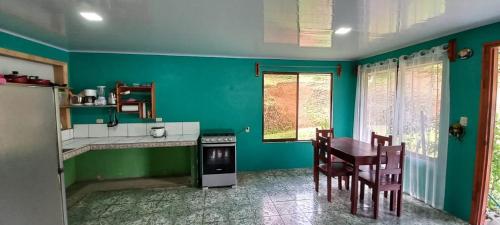a kitchen with green walls and a table and chairs at Drake Lapas in Drake