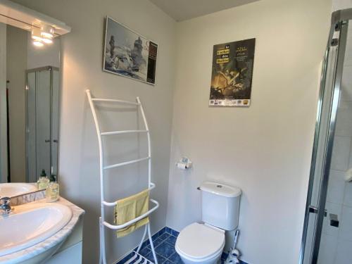 ein Bad mit einem WC und einem Waschbecken in der Unterkunft Quiet duplex apartment in St Briac sur Mer in Saint-Briac-sur-Mer