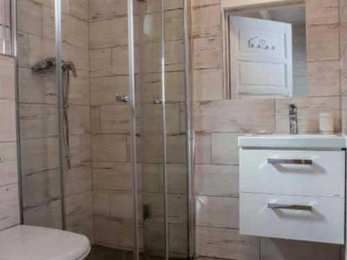 a bathroom with a shower and a toilet and a sink at Comfortable, two-story holiday houses, Pobierowo in Pobierowo