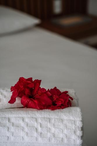 Ein Bett oder Betten in einem Zimmer der Unterkunft Casa Jangada Camocim