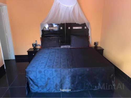 a bedroom with a blue bed with a canopy at Avalon Garden Lodge in Bathurst