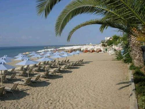 ネア・ムダニアにあるрайский уголокの海の景色を望むビーチ(椅子、パラソル付)