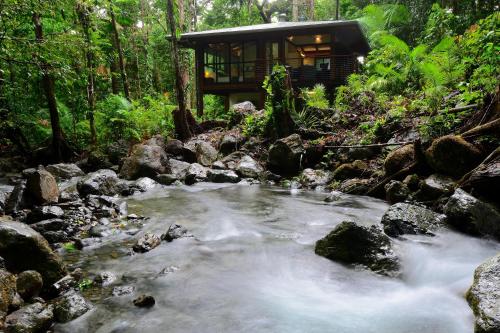 Gallery image of Black Palm Cape Tribulation in Cape Tribulation