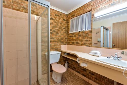 a bathroom with a toilet and a sink and a mirror at Hume Country Motor Inn in Albury
