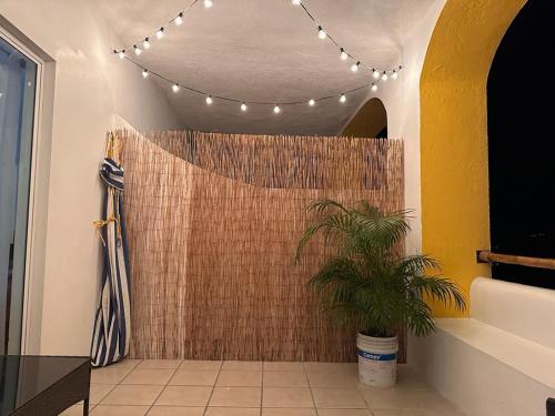 a bathroom with a shower with a plant in it at Twin Towers Tres Mares in Acapulco