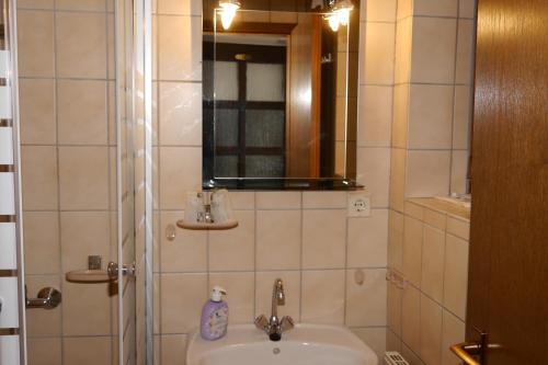 bagno con lavandino e specchio di Günstige Unterkunft Sächsische Schweiz a Mittelndorf