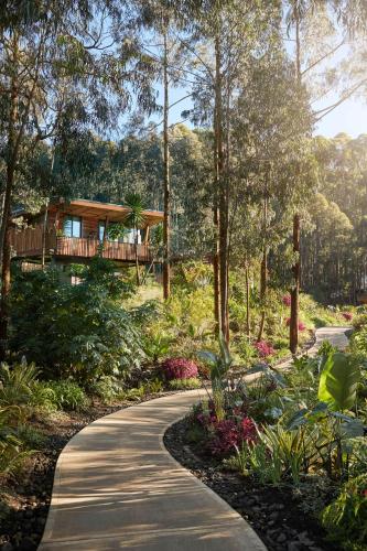 a walkway through a garden with a house in the background at One&Only Gorilla's Nest in Kinigi