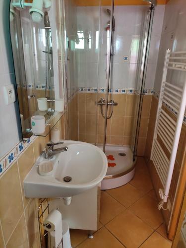 bagno con lavandino, doccia e servizi igienici di Confortable maison de village en pierre typique a Moltig les Bains