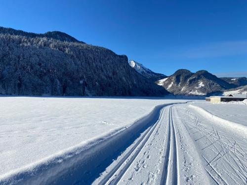 Paesaggio naturale nelle vicinanze dell'appartamento