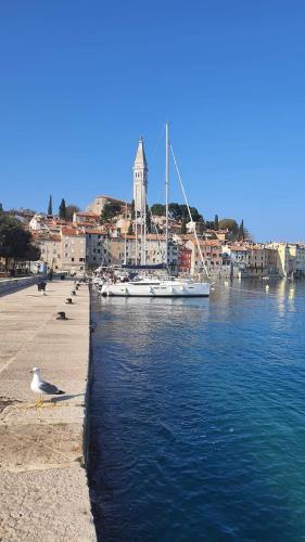 Rovinj City Apartment