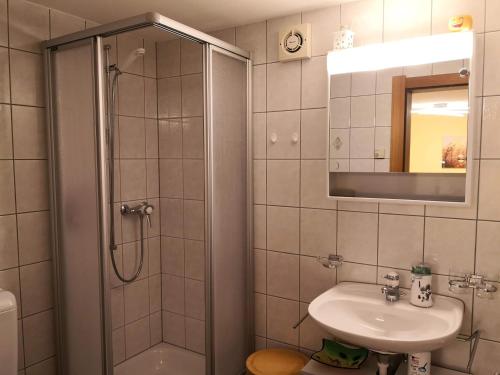 La salle de bains est pourvue d'une douche et d'un lavabo. dans l'établissement Studio mit traumhafter Aussicht, à Ritzingen