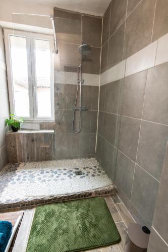 a bathroom with a shower with a green mat at appart de charme a 2 pas du centre de Montbrison in Montbrison