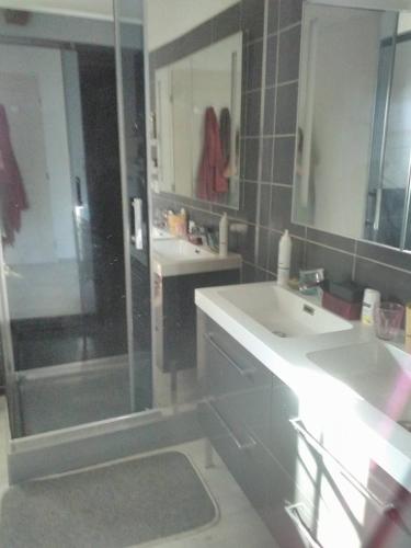 La salle de bains est pourvue de 2 lavabos, d'une douche et de miroirs. dans l'établissement Gîte le Coumis 1370, à Saint-Salvy-de-la-Balme