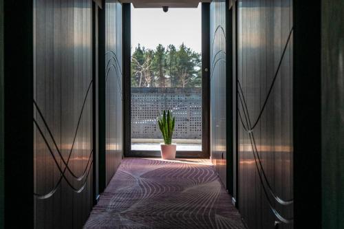 a hallway with a potted plant and a window at Flow Hotel & Conference in Inárcs