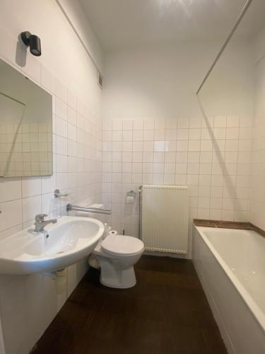 a bathroom with a sink and a toilet and a tub at Cosy Apartment near Antwerp in Mortsel