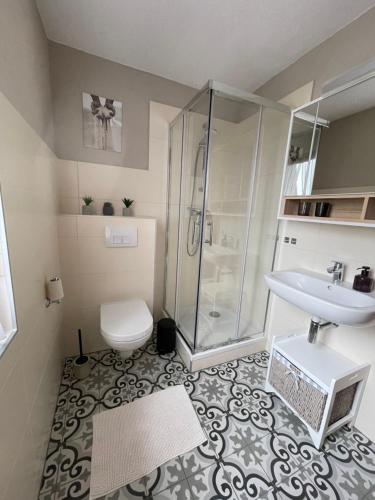 a bathroom with a shower and a toilet and a sink at Matys Landhausperle an der Müritz in Röbel