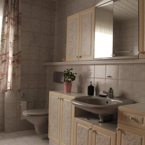 a bathroom with a sink and a toilet and a mirror at Ferienwohnung Mietzner in Laubach