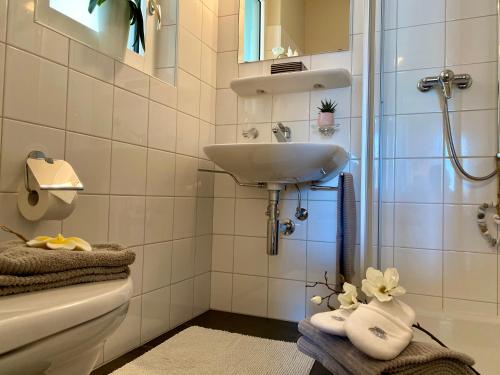 La salle de bains est pourvue d'un lavabo, de toilettes et d'une douche. dans l'établissement Casa Sonora, à Orselina