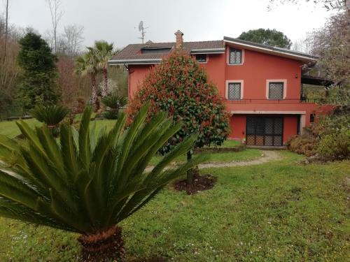 a house with a plant in front of it at la tana nel bosco in Durazzano