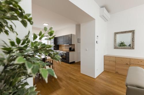 Dapur atau dapur kecil di Nadland Apartment Wehlistrasse