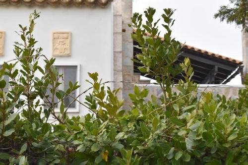 a building behind a bush with a window at TΟRRE DI PIETRA-LUXURY RESIDENCE-ΑMAZING SEA VIEW in Marathón