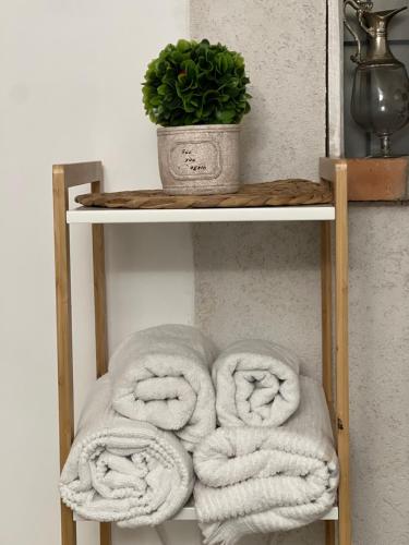 a shelf with towels and a potted plant on it at Sport Residence in Bacău