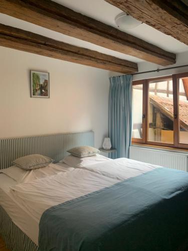 une chambre avec un grand lit et une fenêtre dans l'établissement Gite - Chez Joséphine, à Dambach-la-Ville