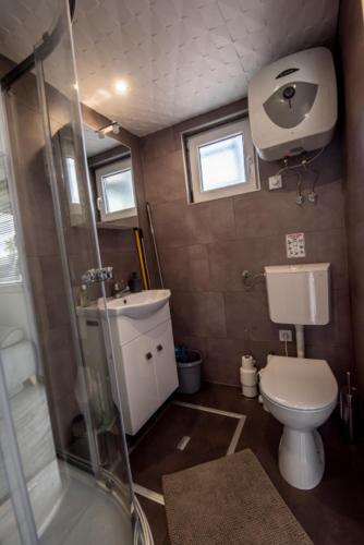 a small bathroom with a toilet and a shower at Panoráma Úszóház 2 in Abádszalók